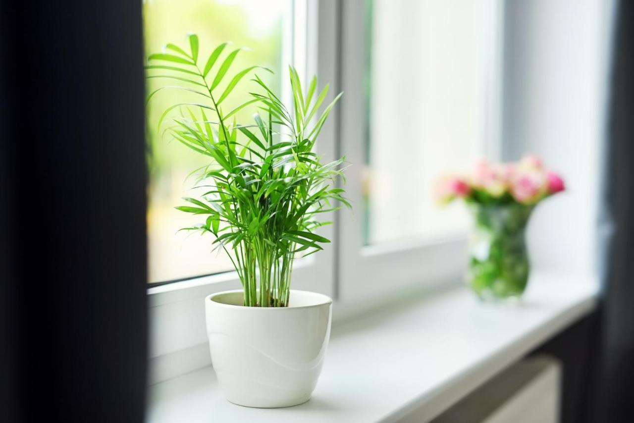 Apartamenty Lotnisko Leszno Leszno  Luaran gambar